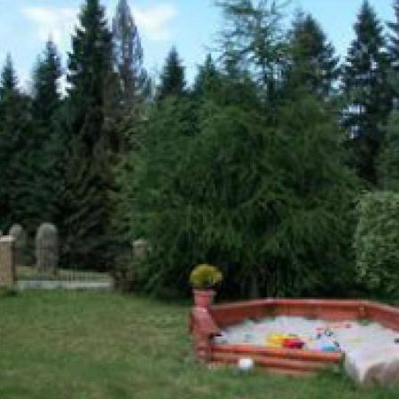 Willa Cetynka Zakopane Exteriör bild